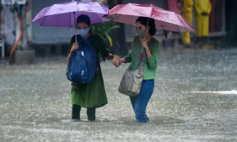 ગુજરાતમાં લાંબા વિરામ બાદ ફરી વરસાદી માહોલ સર્જાયો, દક્ષિણ ગુજરાત, મધ્ય ગુજરાતમાં ભારે વરસાદની  હવામાન વિભાગે કરી આગાહી