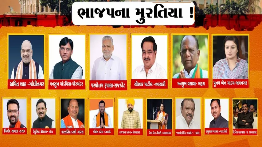 ભાજપે ચૂંટણી માટે 15 ઉમેદવારના નામ જાહેર કર્યા, મનસુખ વસાવા સતત 7મી વખત લડશે ચૂંટણી