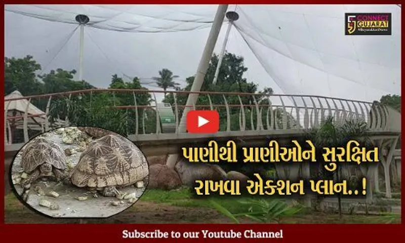 વડોદરા : ઝૂમાં પાણીથી પ્રાણીઓને સુરક્ષિત રાખવા પાંજરા ઉચાં કરાયા પ્લેટફોર્મ, તંત્ર કામે લાગ્યું