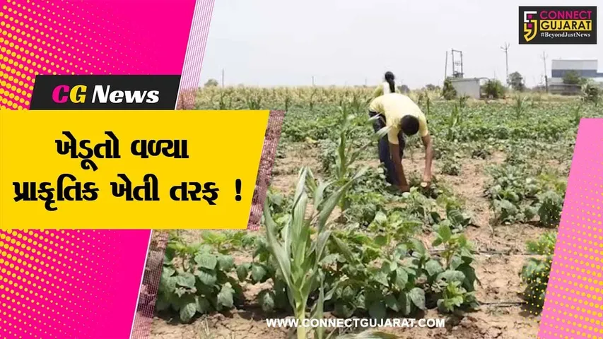 સાબરકાંઠા: ઈડરના ખેડૂતે પ્રાકૃતિક ખેતીને ઉત્તેજન મળે તે અપનાવી આ પધ્ધતિ, જુઓ શું છે ફાયદા