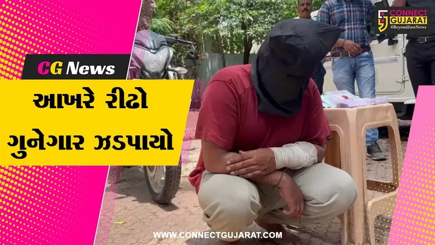 નવસારી : LCBએ ઘરફોડ ચોરી કરતા તસ્કરને ઝડપી પાડ્યો, 51 જેટલી ચોરીના ગુનાને આપી ચૂક્યો છે અંજામ