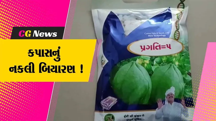 ભાવનગર: કપાસનો 600 કિલો નકલી બિયારણનો જથ્થો ઝડપાયો,પોલીસે હાથ ધરી તપાસ