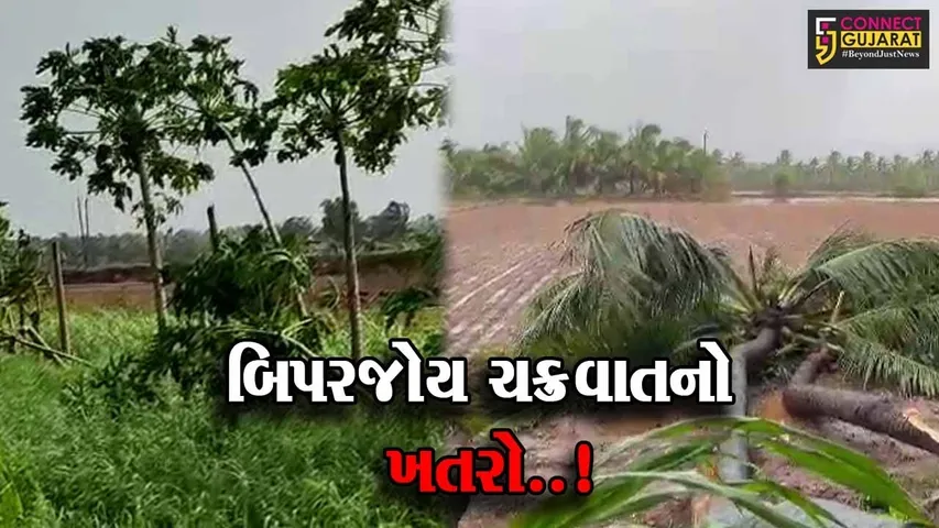 ગીર સોમનાથ : બિપરજોયના પગલે નારીયેરીના વૃક્ષો ધરાશાયી, લોકરક્ષણાર્થે પ્રભાસ તીર્થ પુરોહિતોની સોમનાથ મહાદેવને પ્રાર્થના