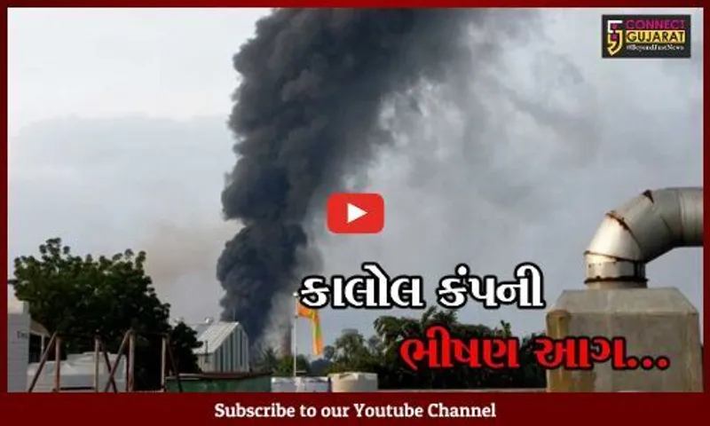 પંચમહાલ : કાલોલ ઔદ્યોગિક વસાહતમાં વહેલી સવારે એક કંપનીમાં લાગી ભીષણ આગ