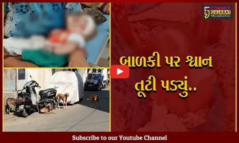 વડોદરામાં સમતા વિસ્તારમાં શ્વાને બાળકીનું માથું ફાડી નાખ્યું, જાણો પછી શું થયુ..?