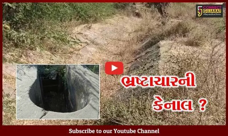 અમરેલી: જર્જરિત કેનાલોના કારણે ખેડૂતોને મુશ્કેલી, છેલ્લા 4 વર્ષથી કેનાલમાં પાણી જ નથી છોડયુ