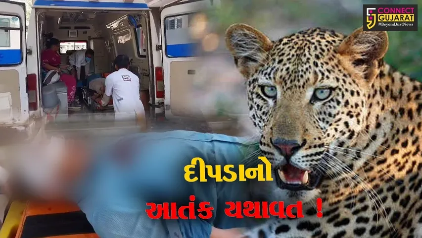 અમરેલી: વડીયા પંથકમાં ખેતરમાં કામ કરી રહેલ ખેતમજુર પર દીપડાએ કર્યો હુમલો, સારવાર અર્થે ખસેડાયો