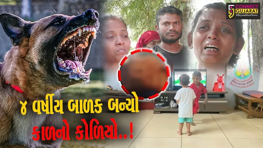 નવસારી : 5 શ્વાનોએ 4 વર્ષીય બાળકને અંતિમ શ્વાસ સુધી બચકા ભરતા મોત, મહુવર ગામે પરિવારમાં આક્રંદ
