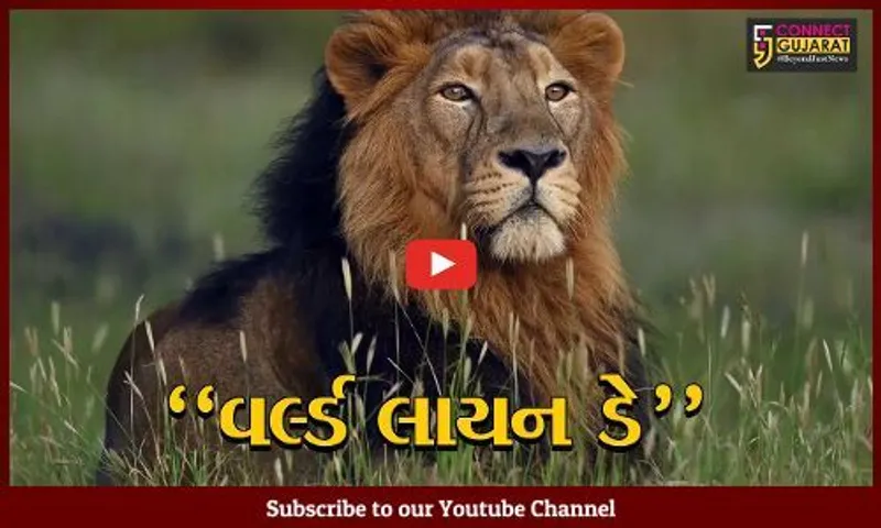 ગાંધીનગર : વિશ્વ સિંહ દિવસ અંતર્ગત મુખ્યમંત્રીની અધ્યક્ષતામાં બેઠક મળી, સિંહ સંરક્ષણ-સંવર્ધન માટે રાજ્ય સરકાર કટિબદ્ધ : CM