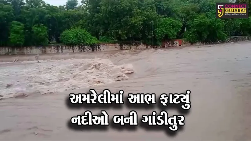 અમરેલીમાં અનેક વિસ્તારોમાં મેઘરાજાની ધમાકેદાર ઇનિંગ બાદ ઠેર ઠેર ભરાયા પાણી........
