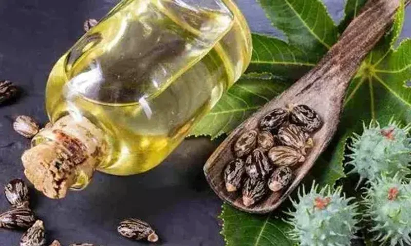 આ તેલનું માલિશ દરરોજ કરવાથી ત્વચા મુલાયમ અને ચહેરો બનશે ચમકદાર…
