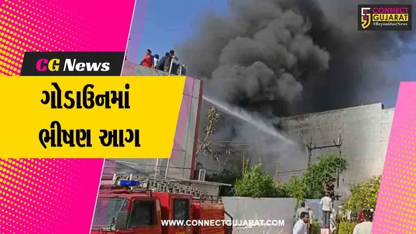 સાબરકાંઠા : વડાલીના જીન કમ્પાઉન્ડમાં ભીષણ આગ ફાટી નીકળી, કરોડો રૂપિયાનું થયું નુકશાન