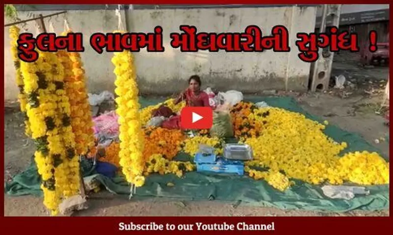 અંકલેશ્વર: ફુલબજારમાં ફૂલ તો ખીલ્યા પણ ભાવ સાંભળી ચહેરા મુરઝાઈ જશે