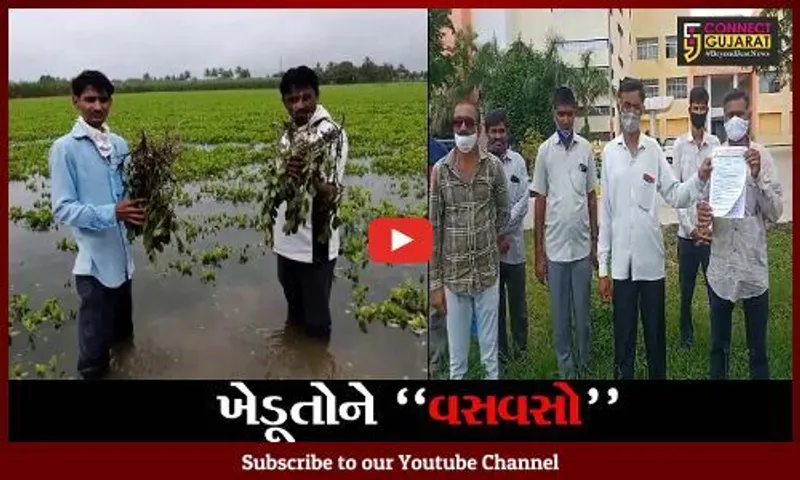 ગીર સોમનાથ : ખેડૂતોને પાક વીમા ચુકવણી સામે એકબીજા પર "ખો" આપતી રાજ્ય સરકાર અને વીમા કંપની..!