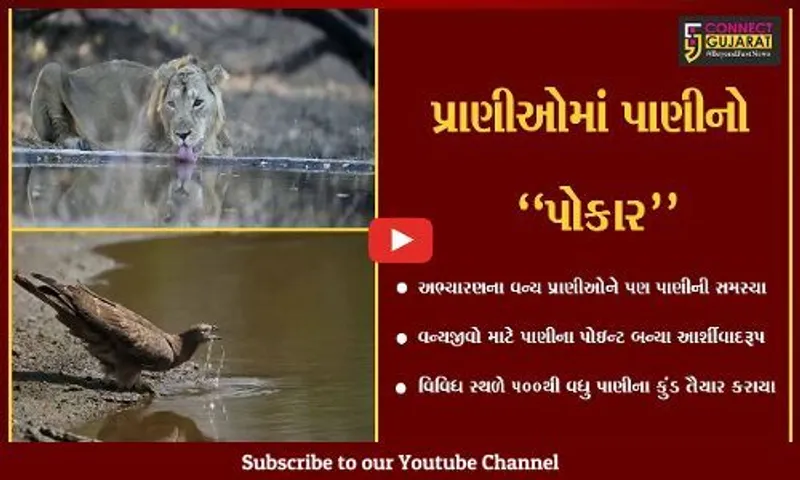 ગીર સોમનાથ : અભ્યારણના વન્યપ્રાણીઓ માટે વન વિભાગે બનાવ્યા પાણીના કુત્રિમ કુંડ...