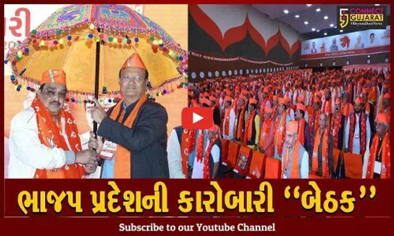 સુરેન્દ્રનગર : લોકસભાની તમામ બેઠકો જીતવા ભાજપે તૈયાર કર્યો રોડ મેપ, બીજા તબક્કાની પ્રદેશ કારોબારી બેઠક મળી