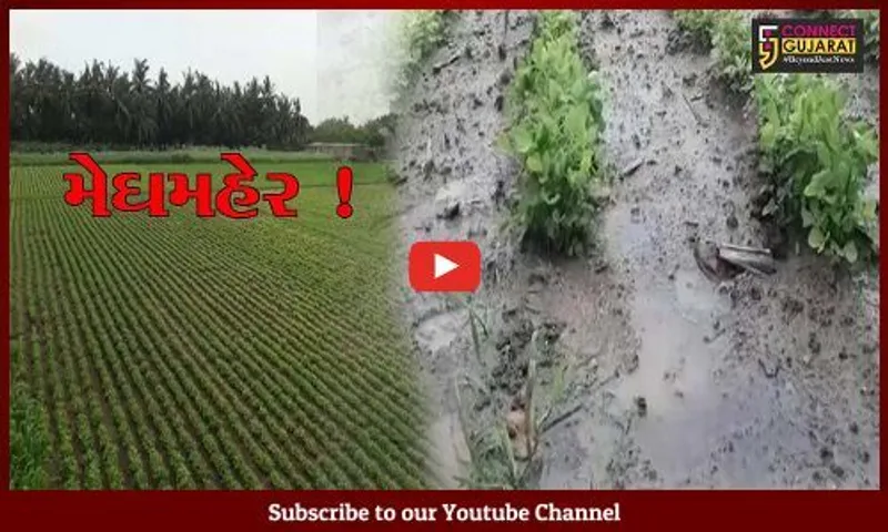 ગીરસોમનાથ: મેઘમહેર થતા ધરતીપુત્રો ખુશખુશાલ,પાકને મળ્યું જીવનદાન