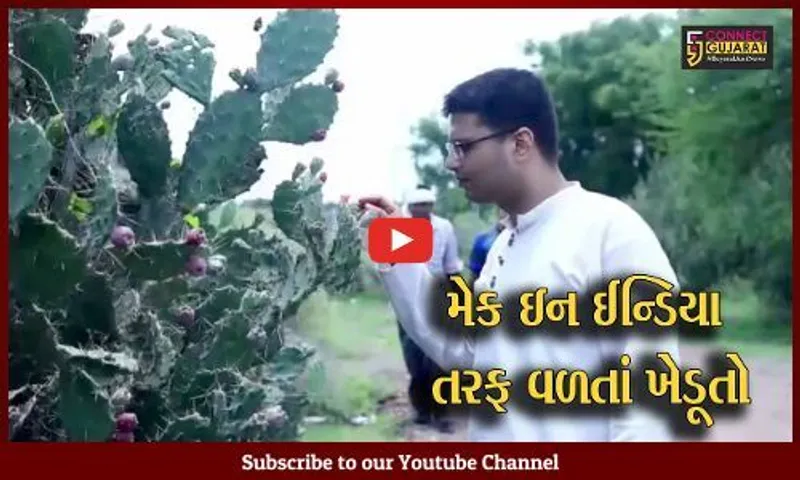 સાબરકાંઠા: યુવાને સ્ટાર્ટઅપ થકી સૌરાષ્ટ્રના ખેડૂતોએ કાંટામાંથી કમાણી કરી,  ફિંડલાના જ્યૂસ-જામનું વર્ષે અઢી કરોડનું ટર્નઓવર