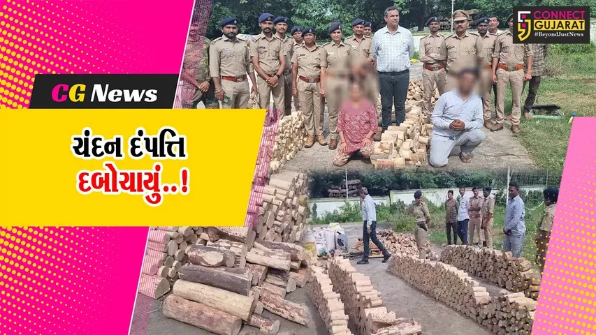 ભરૂચ : વાલિયાના રૂંધા ગામે ચાલતા ગેર’કાયદે ચંદન વેચાણના કૌભાંડનો પર્દાફાશ, મૂળ સુરતના દંપત્તિની અટકાયત...