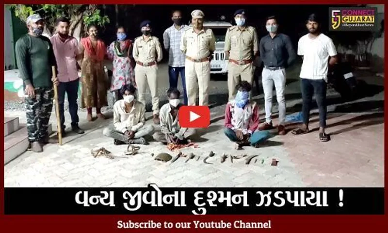 ગીર સોમનાનાથ: વન્ય જીવોનો શિકાર કરતા 4 શિકારીઓની ધરપકડ