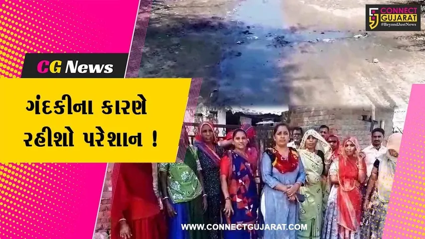 પાટણ: રાધનપુરના વોર્ડ નંબર સાતમાં બિસ્માર માર્ગ અને ગંદકીના કારણે રહીશો પરેશાન,આંદોલનની ચીમકી