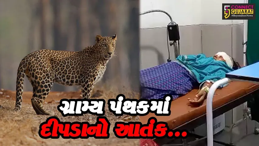દાહોદ : દીપડાના હુમલામાં ગંભીર ઇજા પહોચતા દંપત્તિ સારવાર હેઠળ, વન વિભાગ દોડતું થયું