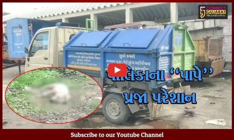 ભરૂચ : મૃતક પશુઓના નિકાલ માટે પાલિકા પાસે જગ્યાનો અભાવ, સ્થાનિકોમાં રોગચાળાનો ભય...