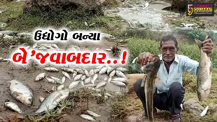 અંકલેશ્વર : અમરાવતી ખાડીમાં વધુ એકવાર અસંખ્ય માછલીના મોત, બે’જવાબદાર ઉદ્યોગો સામે ગ્રામજનોમાં રોષ...