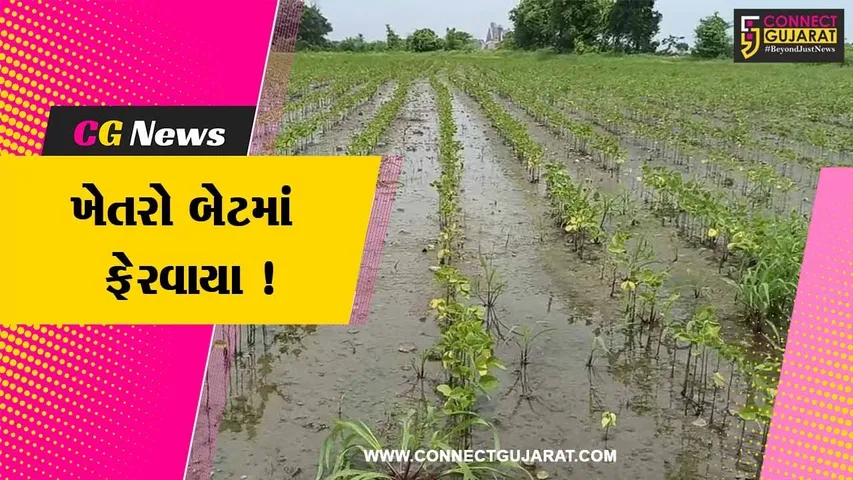 ગીરસોમનાથ: વરસાદના વિરામ બાદ પણ ખેતરો બેટમાં ફેરવાયા,ઊભા પાકને વ્યાપક નુકશાન