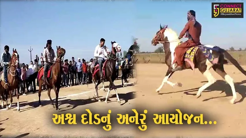 ભરૂચ : આમોદના તણછા ગામે ભરૂચ હોર્સ ગ્રુપ દ્વારા અશ્વ દોડ યોજાય, અશ્વ દોડ નિહાળવા લોકો ઉમટ્યા...