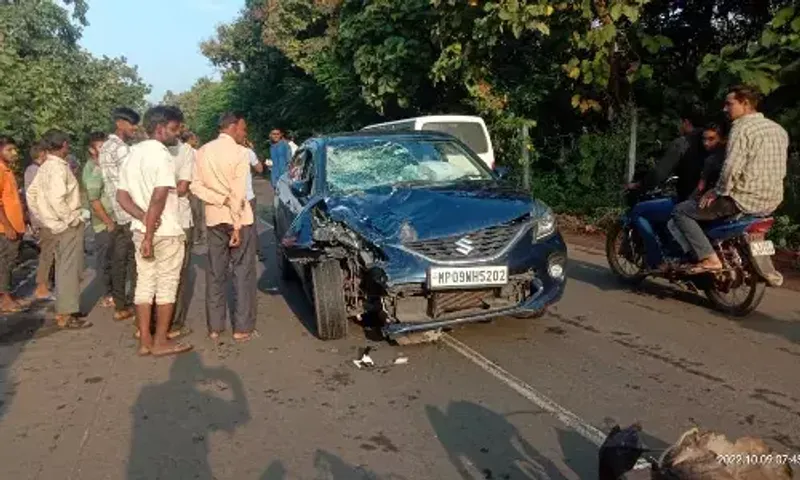 પંચમહાલ : હાલોલ-બોડેલી હાઇવે પર કારની અડફેટે બાઈક ચાલકનું ઘટનાસ્થળે મોત, કાર ચાલક ફરાર...