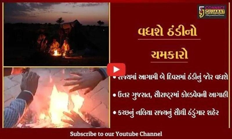 રાજ્યમાં ઠંડીનું જોર વધશે; આગામી 48 કલાક કોલ્ડવેવની આગાહી