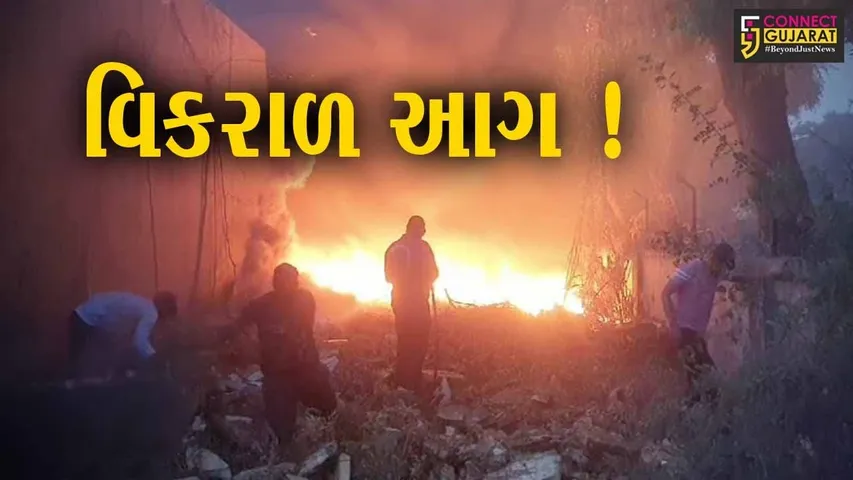 ભરૂચ: નર્મદા માર્કેટમાં બંધ ગોડાઉન ભડકે બળ્યુ, અફરાતફરીનો માહોલ