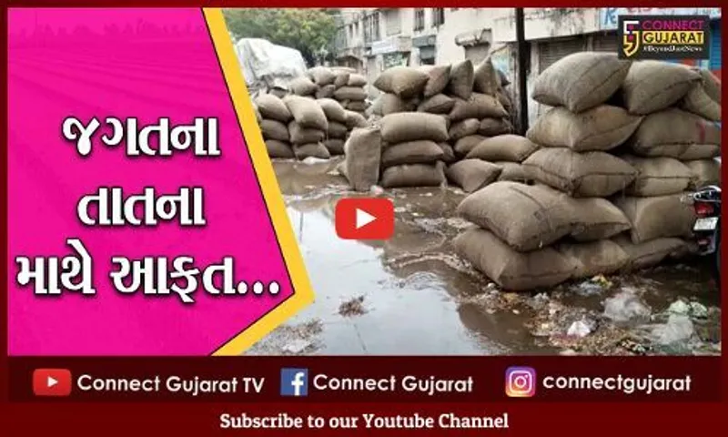 વાવાઝોડાની નુકશાનીમાંથી માંડ બેઠા થયાં ત્યાં માવઠાનો માર, ખેડુતો થયાં બેહાલ