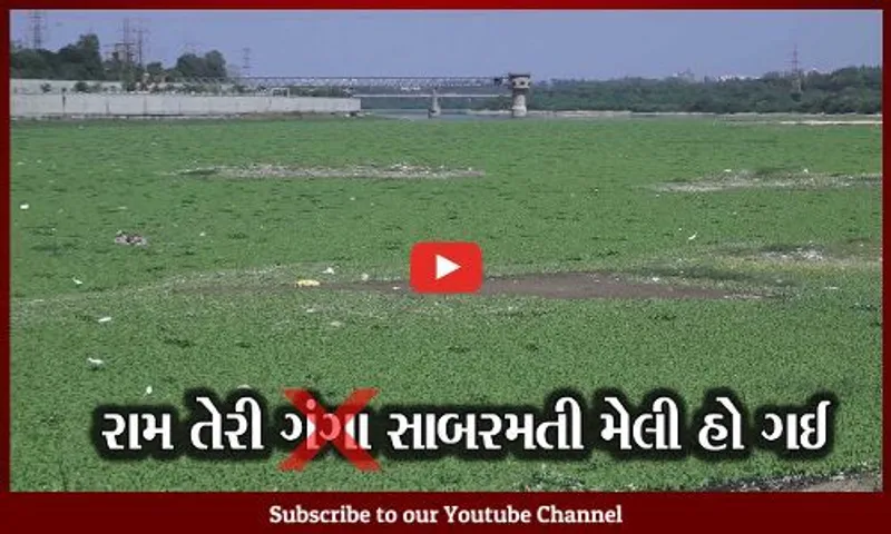 અમદાવાદ : સાબરમતી નદીનું "કદરૂપુ" સ્વરૂપ, સફાઇના નામે મીંડુ, ગંદકીની ભરમાર