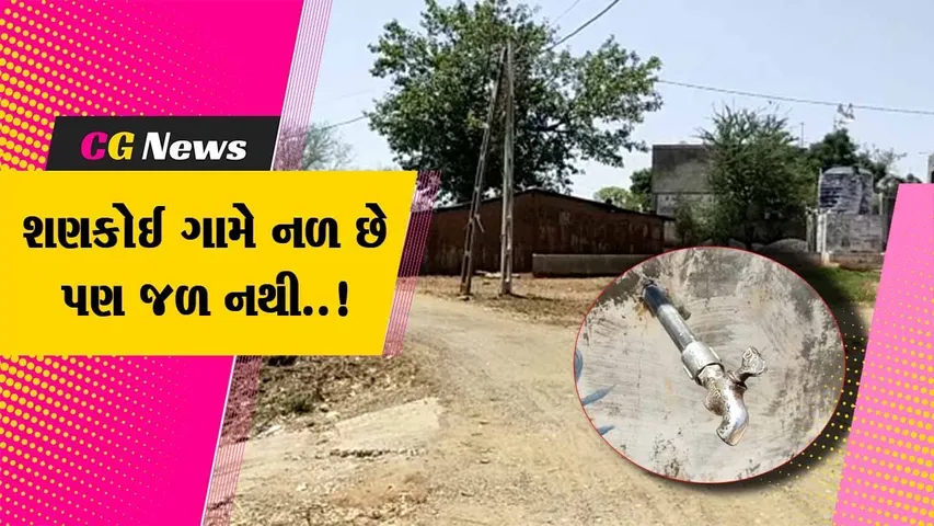 ભરૂચ : ઉનાળાના પ્રારંભે નેત્રંગના શણકોઈ ગામમાં પાણીનો પોકાર, ખેડૂતો અને સ્થાનિકોના પાણી માટે વલખા...