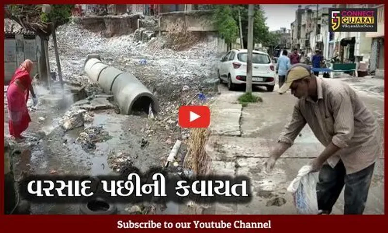 ભરૂચ અને અંકલેશ્વરમાં વરસાદનો વિરામ, પાલિકાએ હાથ ધર્યું સફાઇ અભિયાન