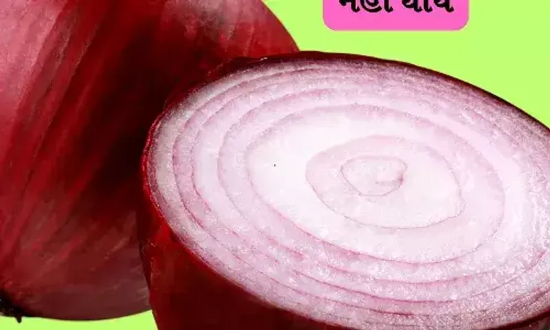 ઘરમાં રાખેલી ડુંગળીમાંથી વાસ આવવા લાગે છે, ફોલો કરો આ 5 સરળ  ટિપ્સ, વરસાદમાં પણ નહીં બગડે ડુંગળી