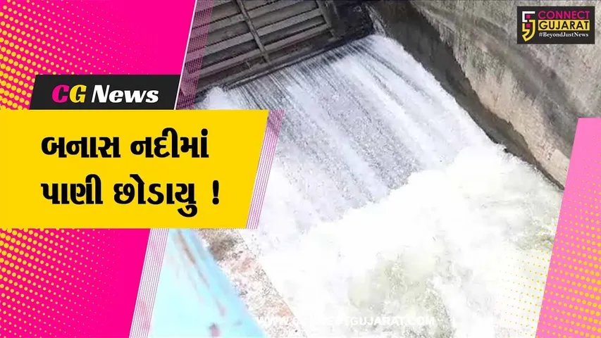 પાટણ: MLA લવિંગજી સોલંકીના હસ્તે બનાસ નદીમાં પાણી છોડવામાં આવ્યુ,ખેડૂતોમાં ખુશીનો માહોલ