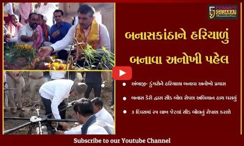 બનાસકાંઠા: અંબાજી ગબ્બર અને તેની આસપાસના ડુંગરાઓ હરીયાળા બનાવા બનાસ ડેરી દ્વારા એક કરોડ જેટલાં સીડ બોલ તૈયાર કર્યા.