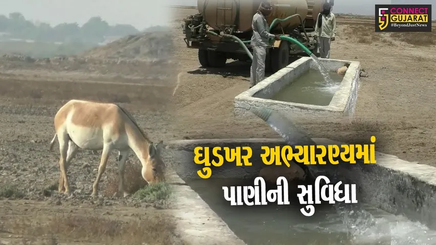 સુરેન્દ્રનગર : કાળઝાળ ગરમીમાં ઘુડખર અભ્યારણ્યમાં પશુ-પક્ષીઓ માટે પાણીની સુવિધા પુરી પાડતું તંત્ર...