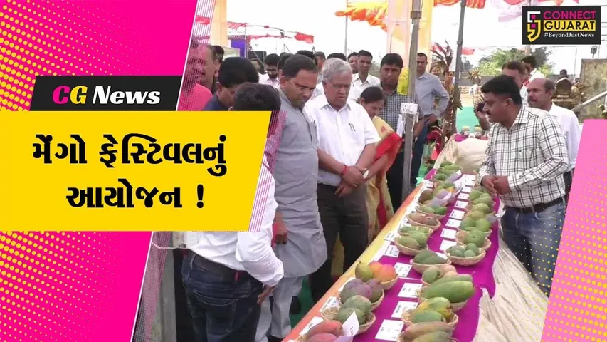 વલસાડ: તિથલ બીચ પર મેંગો ફેસ્ટિવલનું આયોજન,કેરીની 113 જેટલી પ્રજાતિઓનું નિદર્શન કરાયુ