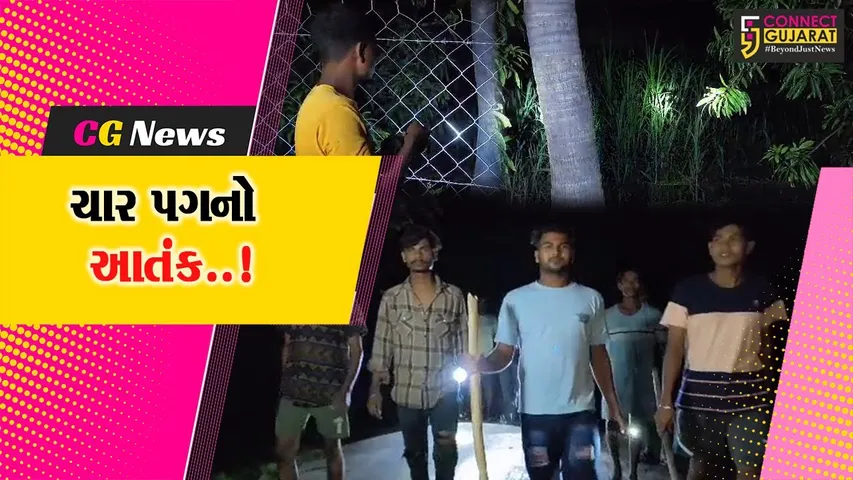 નવસારી : મોલધરા ગામે દીપડાના આંટાફેરા વધતાં પોતાના પશુઓને બચાવવા ગ્રામજનોની રાત્રિ પહેરેદારી...