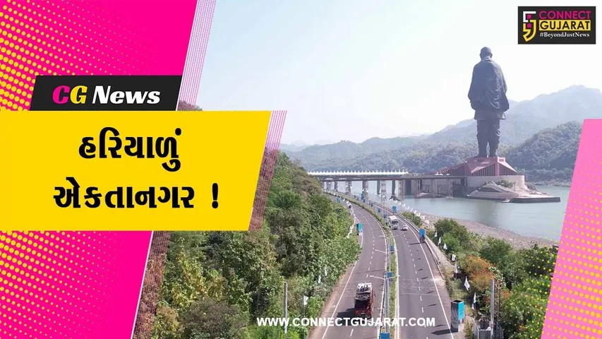 નર્મદા: એકતાનગરના પરિસરમાં વિવિધ પ્રજાતિઓના વૃક્ષોનું કરાયુ વાવેતર, હરિયાળું એકતાનગર બન્યું આકર્ષણનું કેન્દ્ર