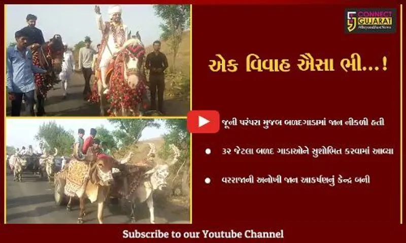 અમરેલી : શણગારેલા બળદગાડા અને અશ્વ સાથે કન્યાના આંગણે પહોંચી જાન, દાયકાઓની જૂની પરંપરા ફરી જીવંત કરી