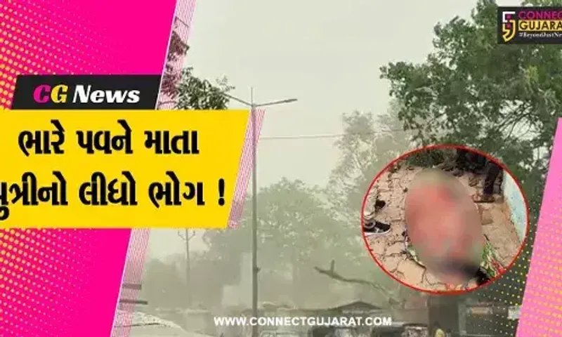ભરૂચ: જંબુસરમાં ભારે પવનના કારણે મકાન પર વૃક્ષ ધરાશયી થતા માતા પુત્રીના મોત