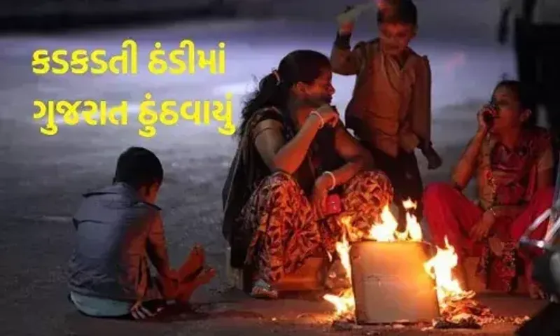 ગુજરાતમાં ઠંડીનો ચમકારો યથાવત: 8 ડિગ્રી સાથે નવસારી સૌથી ઠંડુગાર