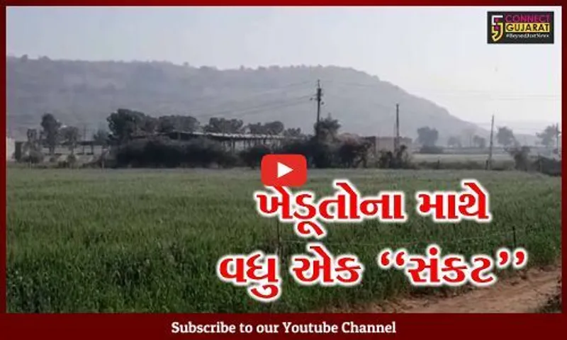 સાબરકાંઠા : જંગલી ભૂંડનો ખેડૂતો પર જીવલેણ હુમલો, પાકને પણ પહોચાડ્યું વ્યાપક નુકશાન...