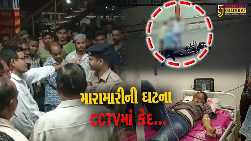 વડોદરા : સાધલી ગામે જુની અદાવતે મહિલા સરપંચના પુત્રએ મહિલા સભ્યના પતિને જાહેરમાં માર માર્યો, ઘટના CCTVમાં કેદ...