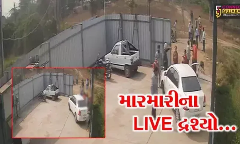 ભરૂચ : આમોદના સમની ગામે કારખાનાના માલિક ઉપર હીંચકારો હુમલો, મારમારીની ઘટના CCTVમાં કેદ...